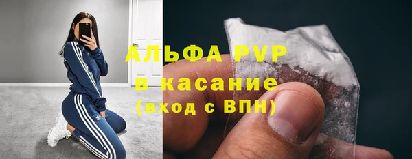 стафф Каменногорск