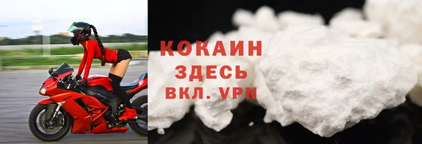 стаф Каменск-Шахтинский