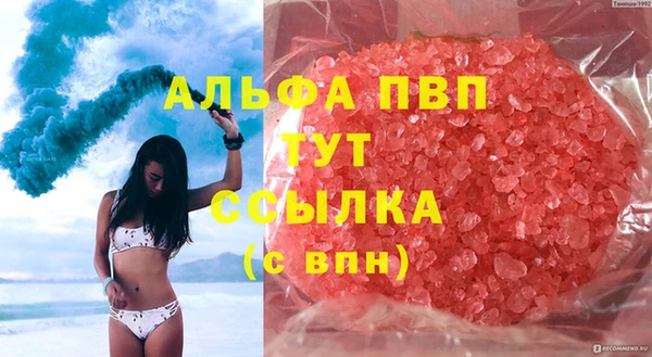 стаф Каменск-Шахтинский