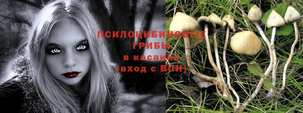 стаф Каменск-Шахтинский