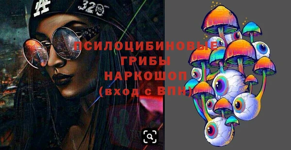 эйфоретик Каменка