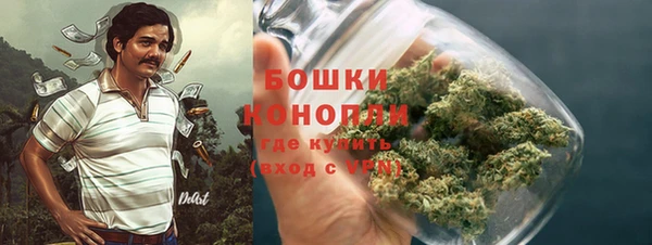 эйфоретик Каменка
