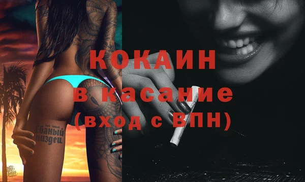 стафф Каменногорск