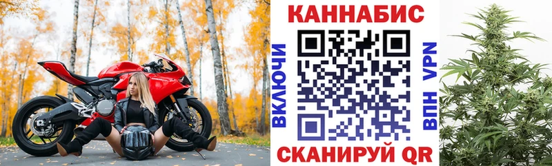Купить где  Певек  Канабис VHQ 